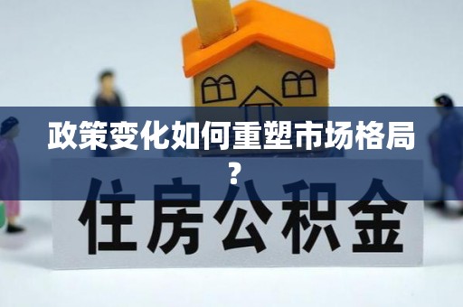 漳浦政策变化如何重塑市场格局？