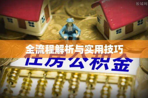漳浦全流程解析与实用技巧
