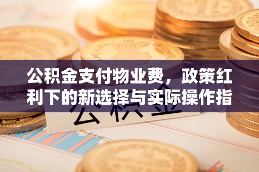 漳浦公积金支付物业费，政策红利下的新选择与实际操作指南