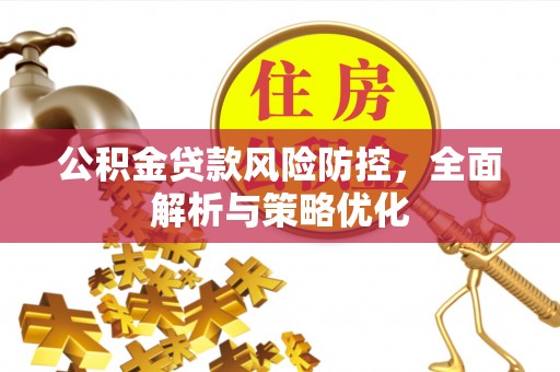 漳浦公积金贷款风险防控，全面解析与策略优化