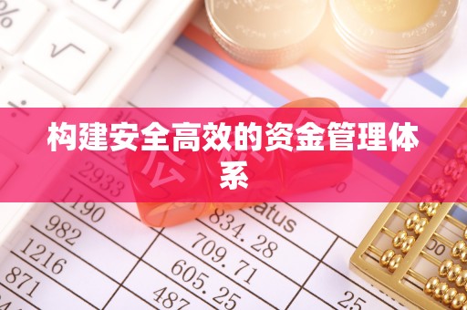 漳浦构建安全高效的资金管理体系