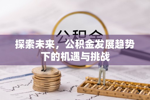 漳浦探索未来，公积金发展趋势下的机遇与挑战