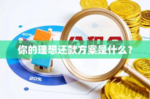 漳浦你的理想还款方案是什么？