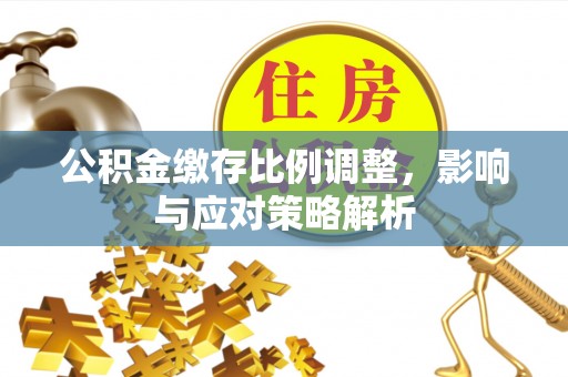 漳浦公积金缴存比例调整，影响与应对策略解析