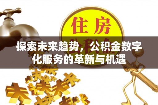 漳浦探索未来趋势，公积金数字化服务的革新与机遇