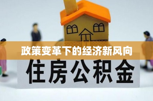 漳浦政策变革下的经济新风向