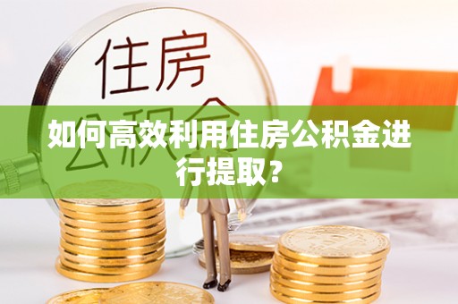 漳浦如何高效利用住房公积金进行提取？